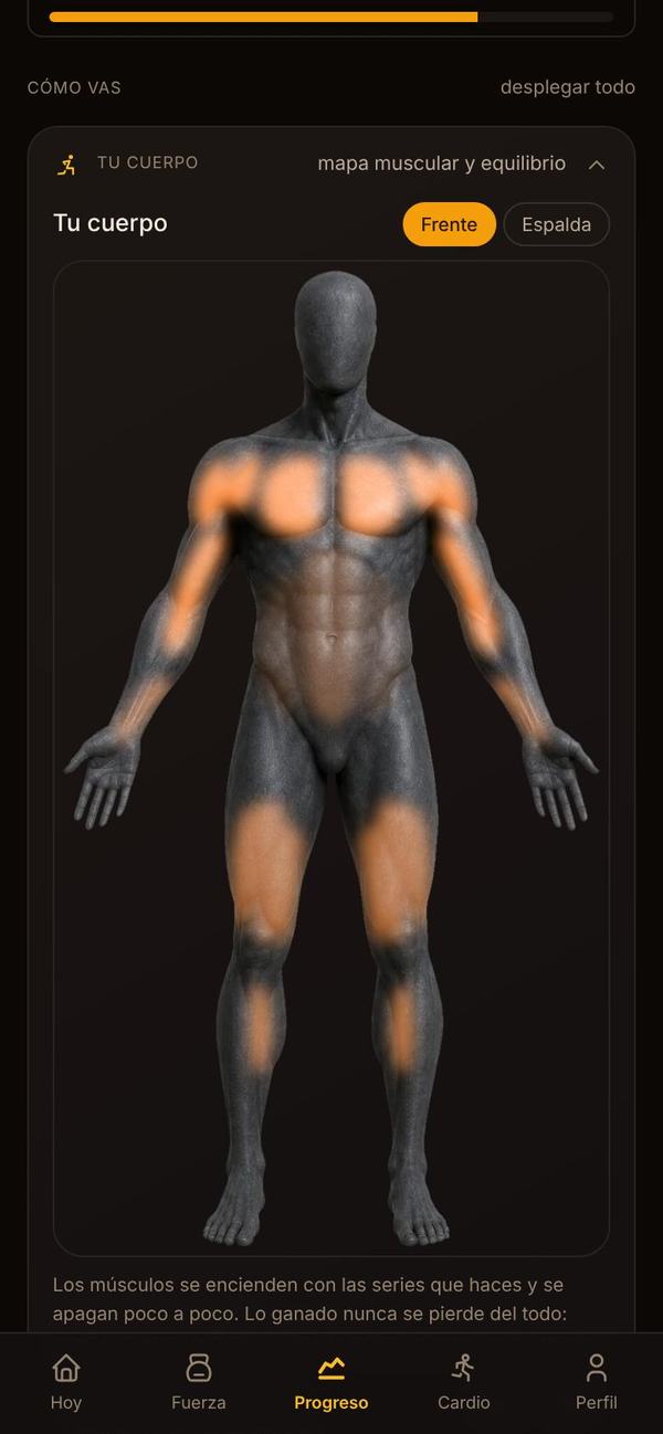 Mapa del cuerpo en 3D con hombros, pecho y piernas iluminados en naranja