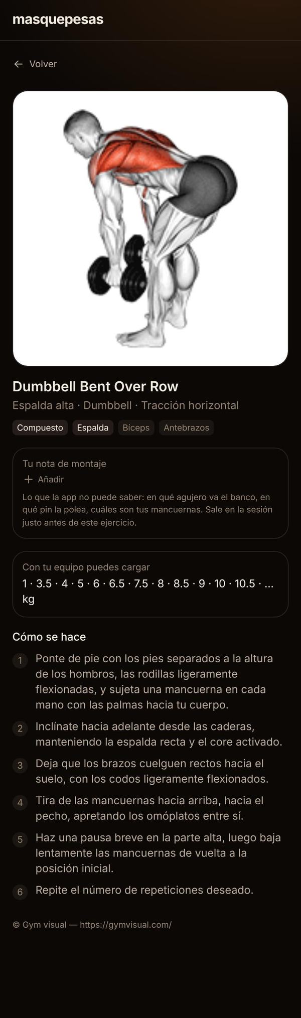 Ficha del ejercicio remo inclinado con mancuernas: animación, músculos que trabaja y seis pasos explicados